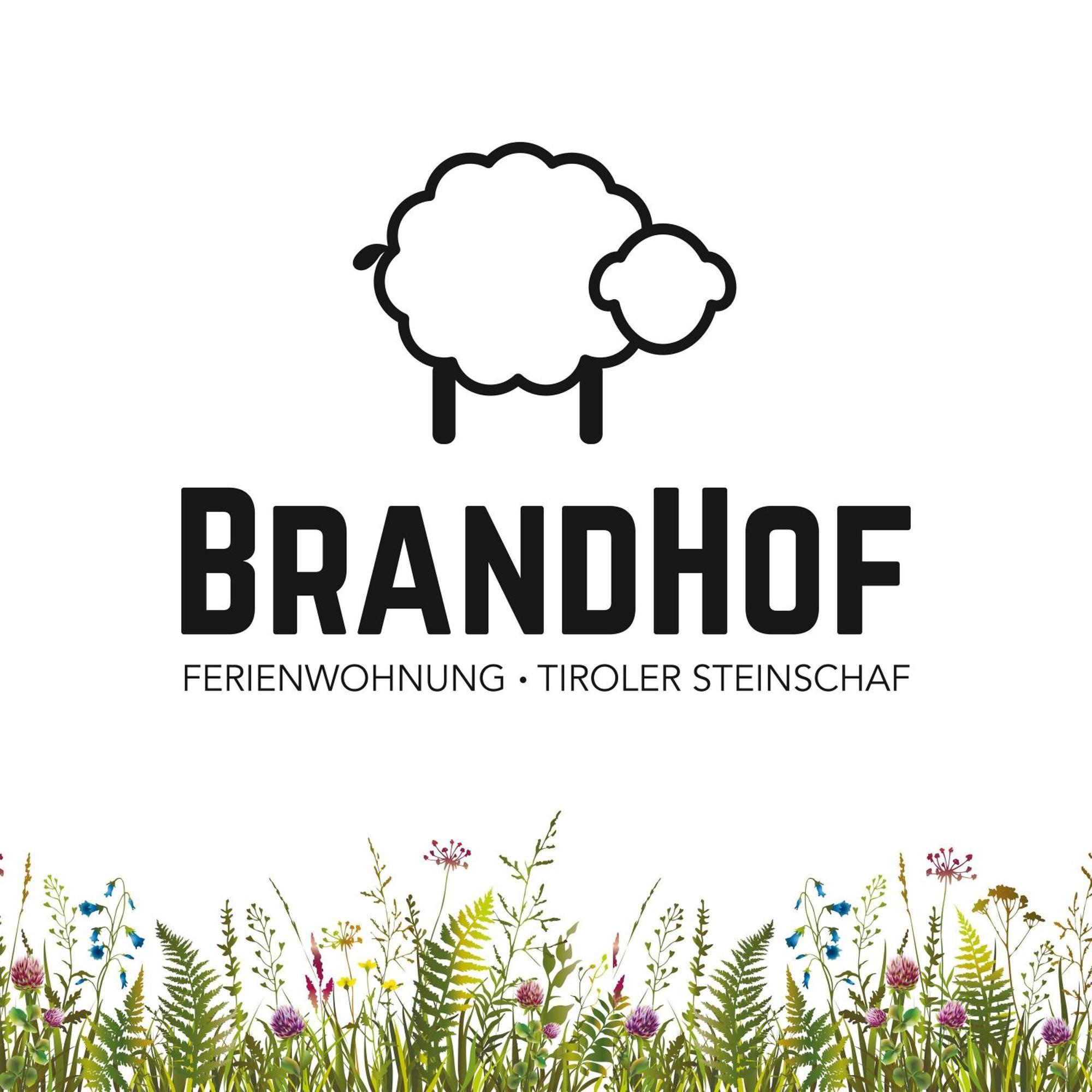Апартаменты Brandhof Reith Экстерьер фото